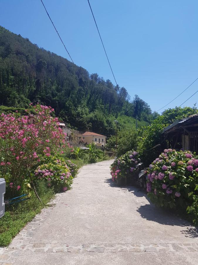 Casa Nonna Anna Villa Maiori Bagian luar foto