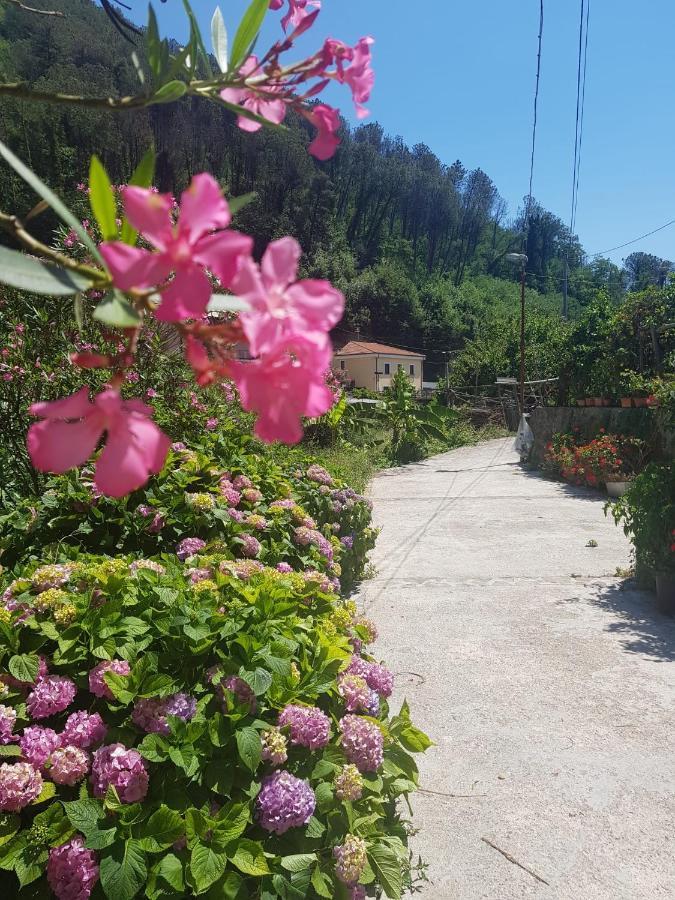 Casa Nonna Anna Villa Maiori Bagian luar foto
